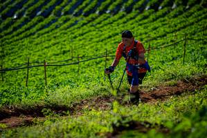 BIB: 
                            <button type="button" onclick="openModal(19160938)" class="btn btn-primary btn-sm float-right btn-popup" data-toggle="modal" data-target=".modal-high-quality">
                        <i class="fas fa-shopping-cart"></i> Add to Cart
                    </button>
                                            <button type="button" onclick="isThisMe(19160938, true)" class="btn btn-success btn-sm float-right btn-popup btn-isme hidden" data-toggle="tooltip" data-placement="bottom" title="นี่คือรูปของคุณใช่ไหม คลิกที่นี่เพื่อเอาเข้าอัลบั้ม">
                        <i class="fas fa-plus"></i> Add to album
                    </button>
                    <button type="button" onclick="isThisMe(19160938, false)" class="btn btn-warning btn-sm float-right btn-popup btn-isnotme hidden">
                        <i class="fas fa-ban"></i> Remove from album
                    </button>